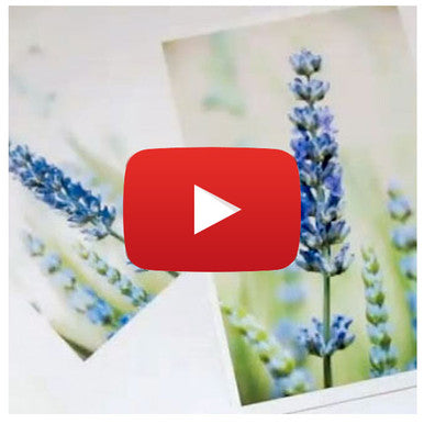 Citra Solv Photo Transfer Video By Dianne Sapra
