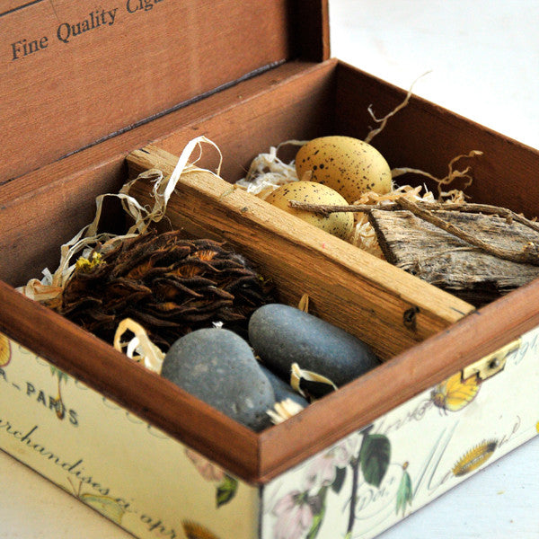 Flora and Fauna Box Project