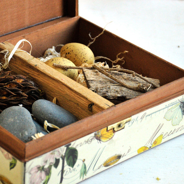 Flora and Fauna Box Project