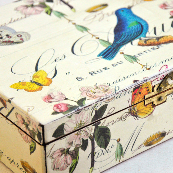 Flora and Fauna Box Project