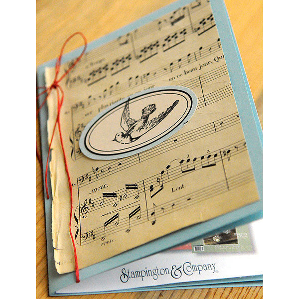 Somerset Gift Announcements Presentation Inspiration Project