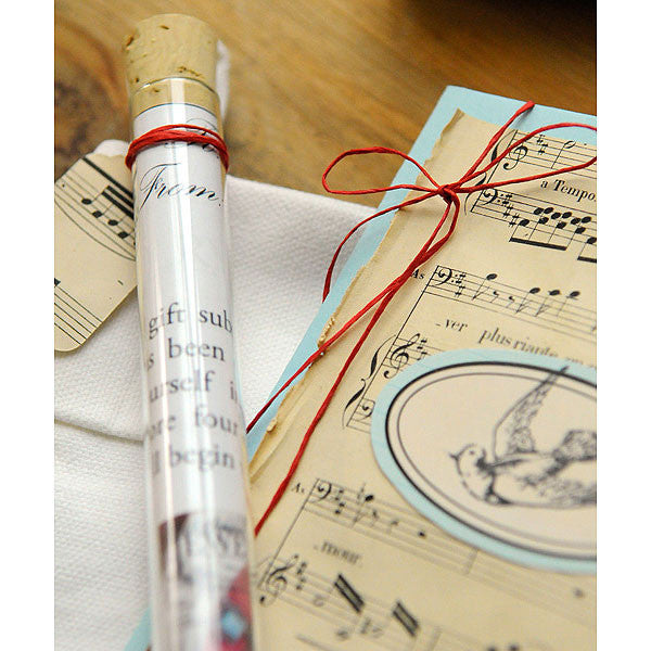 Somerset Gift Announcements Presentation Inspiration Project