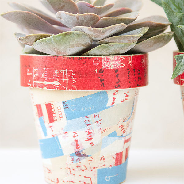Graffiti Succulent Pots Project