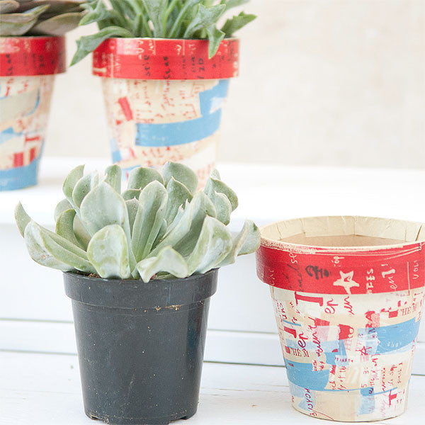 Graffiti Succulent Pots Project