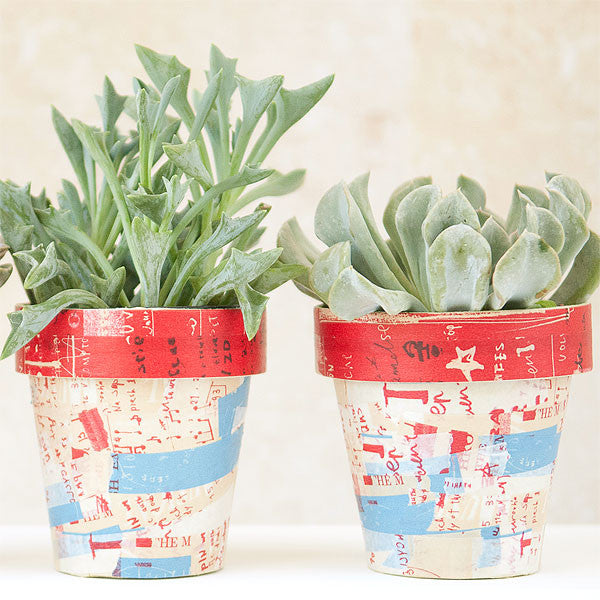 Graffiti Succulent Pots Project