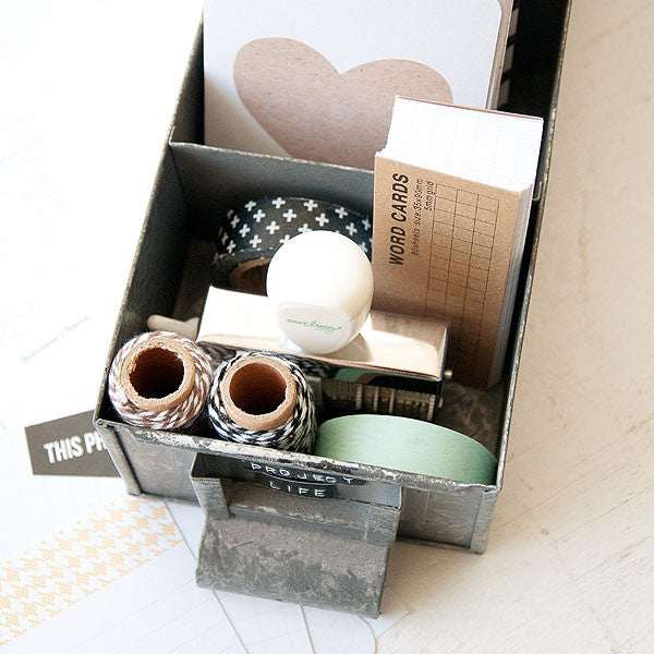 Project Life Organization Idea