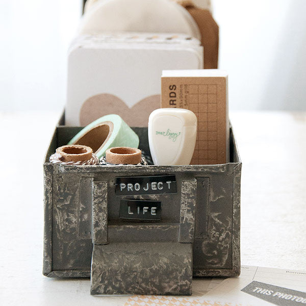 Project Life Organization Idea