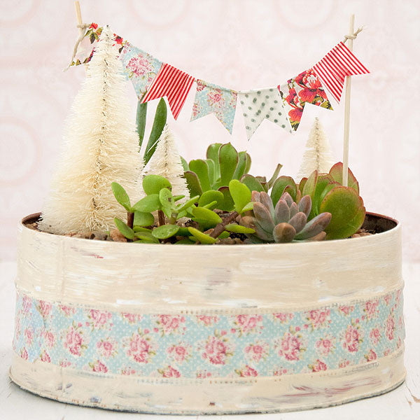 Christmas Succulent Garden Project