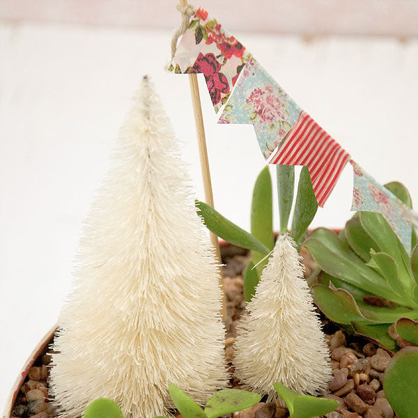 Christmas Succulent Garden Project