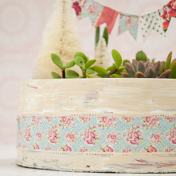 Christmas Succulent Garden Project