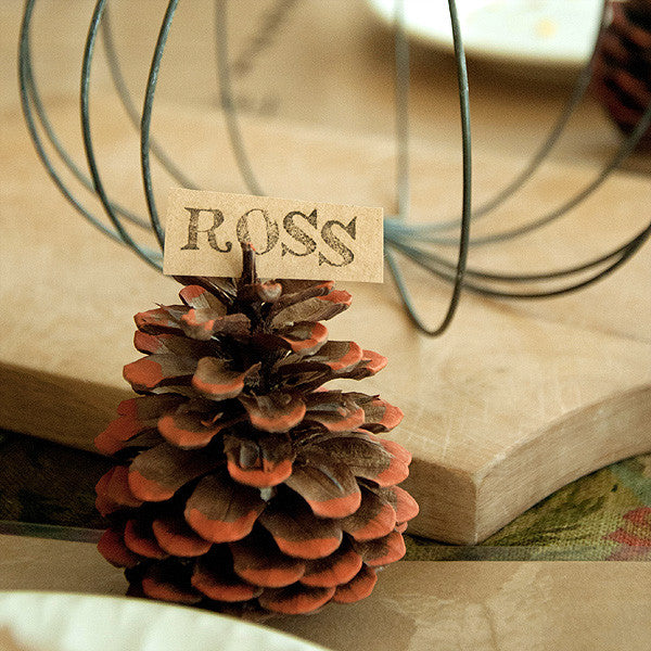 Harvest Affaire Pinecone Place Cards Project