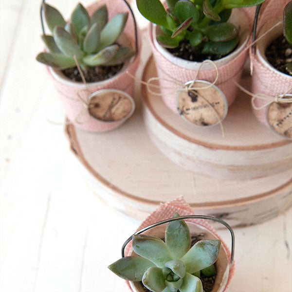 Rustic Burlap Succulent Favors