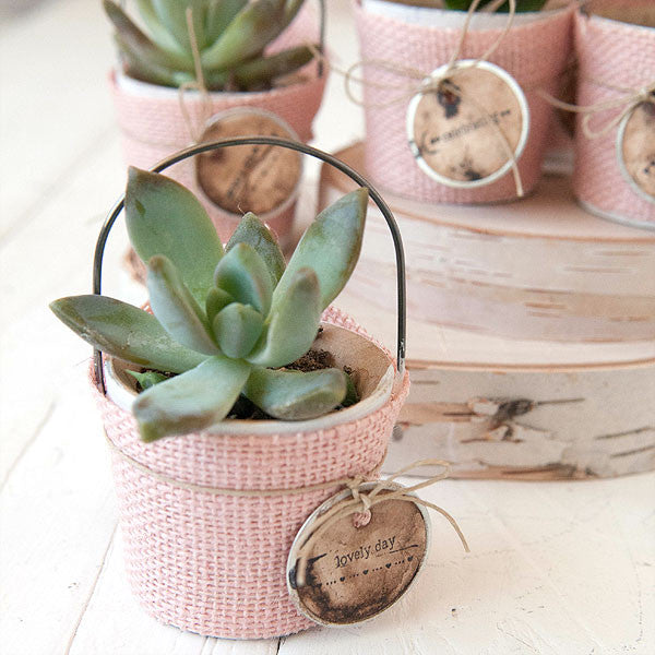 Rustic Burlap Succulent Favors