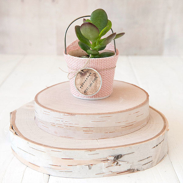 Rustic Burlap Succulent Favors