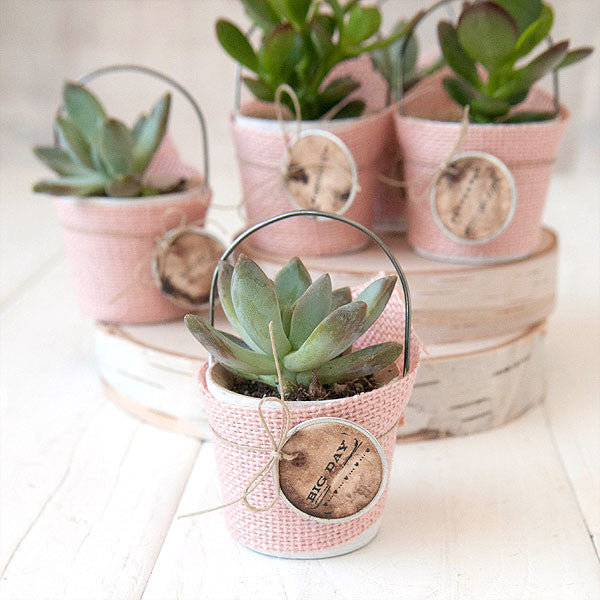 burlap succulent Rustic Burlap Succulent Favors