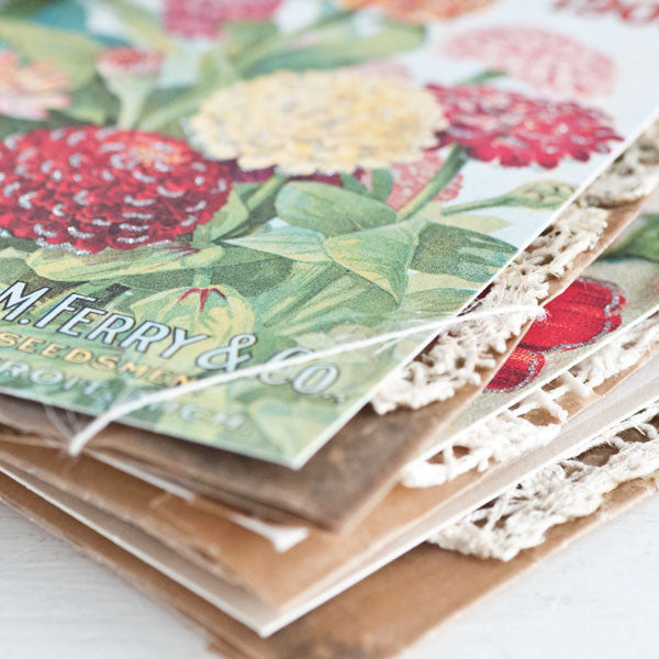 Seed Packet Project