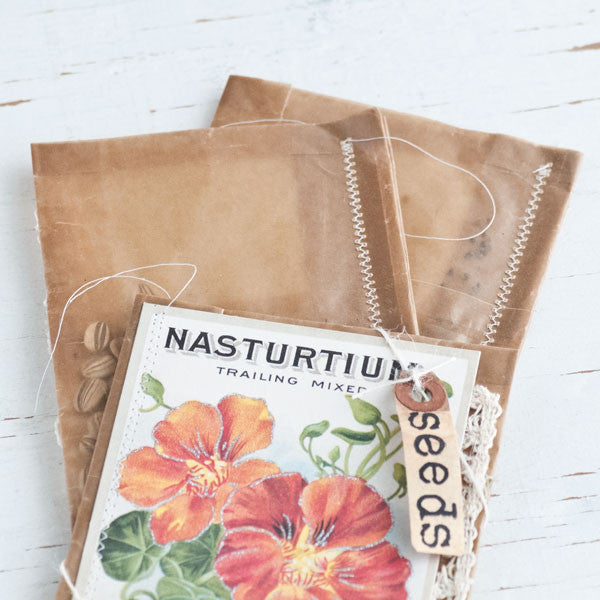 Seed Packet Project