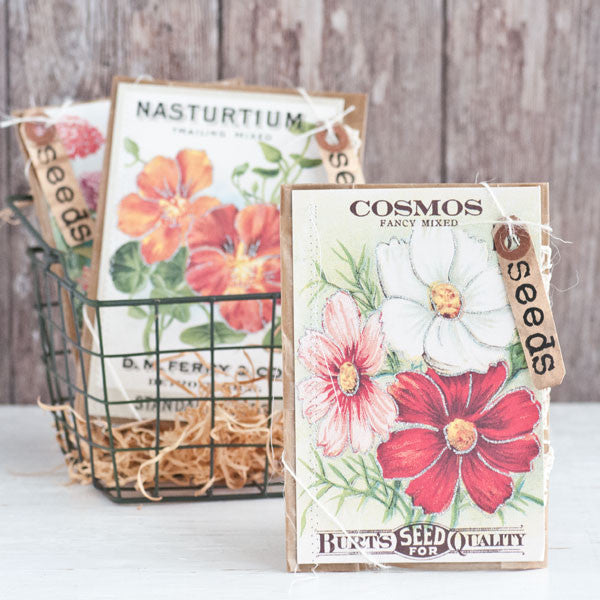 flower seed postcards Seed Packet Project
