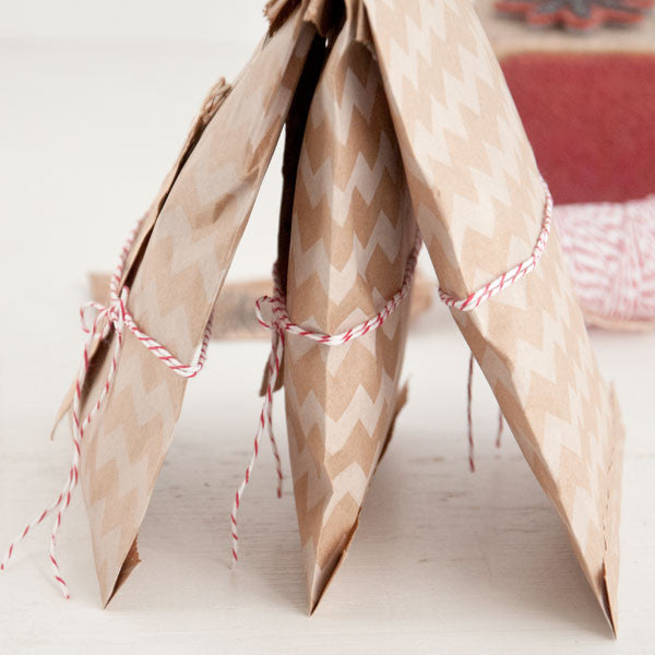 Holiday Delight Goodie Bags Project