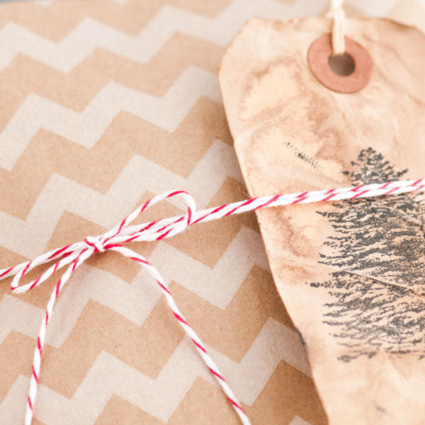 Holiday Delight Goodie Bags Project