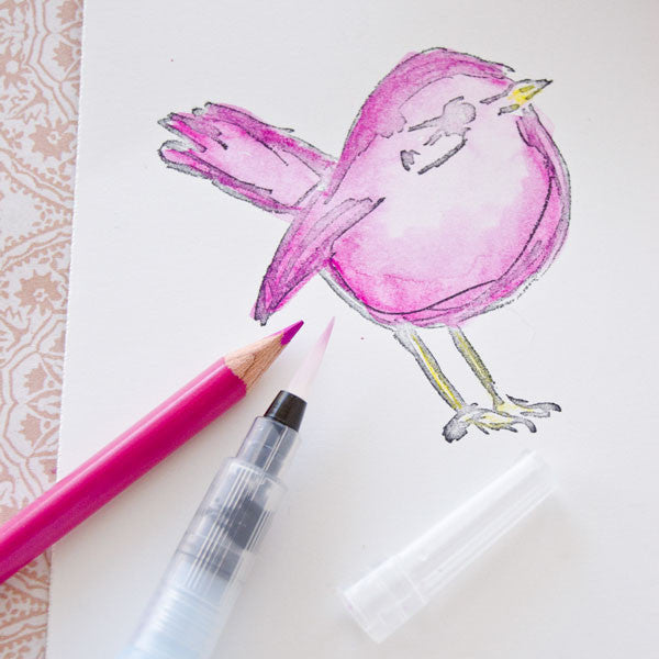 Coloring Beyond the Page Project
