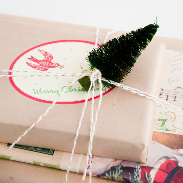 Pack It, Wrap It, Bag It: 3 Creative Packaging Ideas Project
