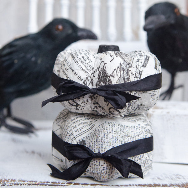 Black & White Decoupage Pumpkins