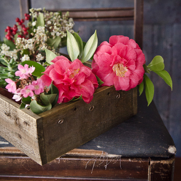 Vintage Plant Box: 3 Ways