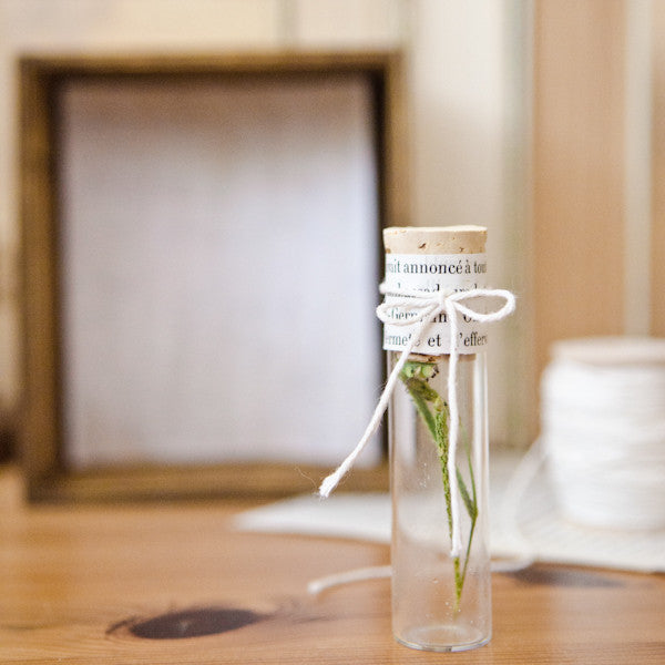 Scientific Specimens Project