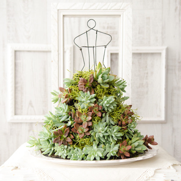 Homegrown Gown Project