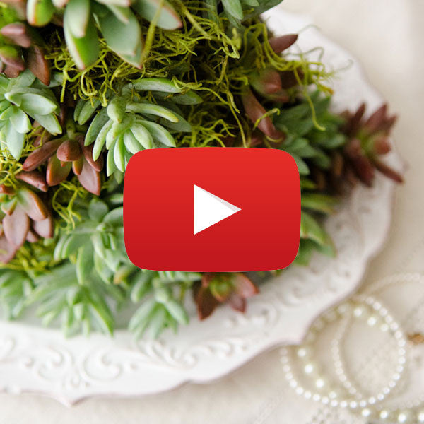 succulent dress form Homegrown Gown Project Video