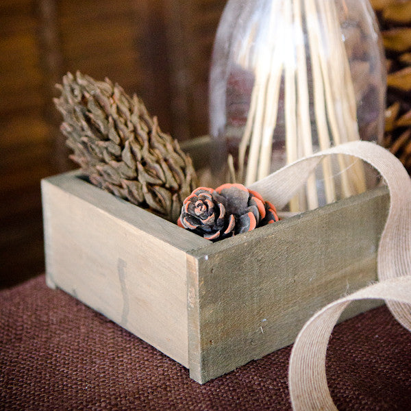 A Modern Cornucopia Project