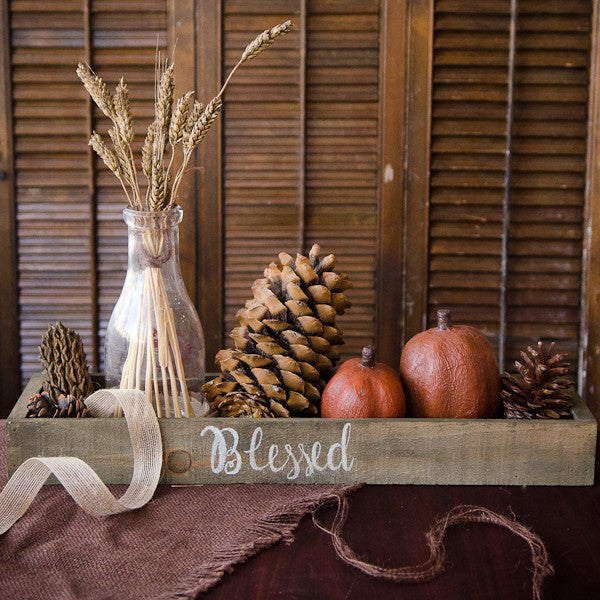 A Modern Cornucopia Project