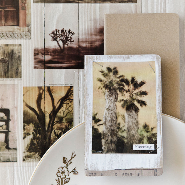 Transparently Trendy Project