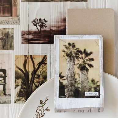 Transparently Trendy Project