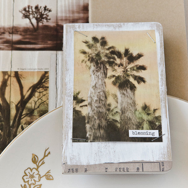 Transparently Trendy Project