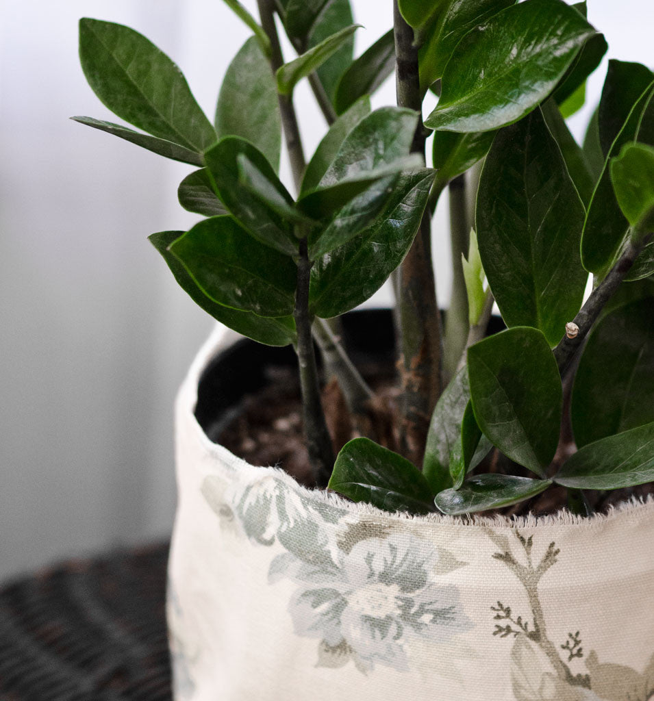 5 Creative Touches to Add to Your Workspace