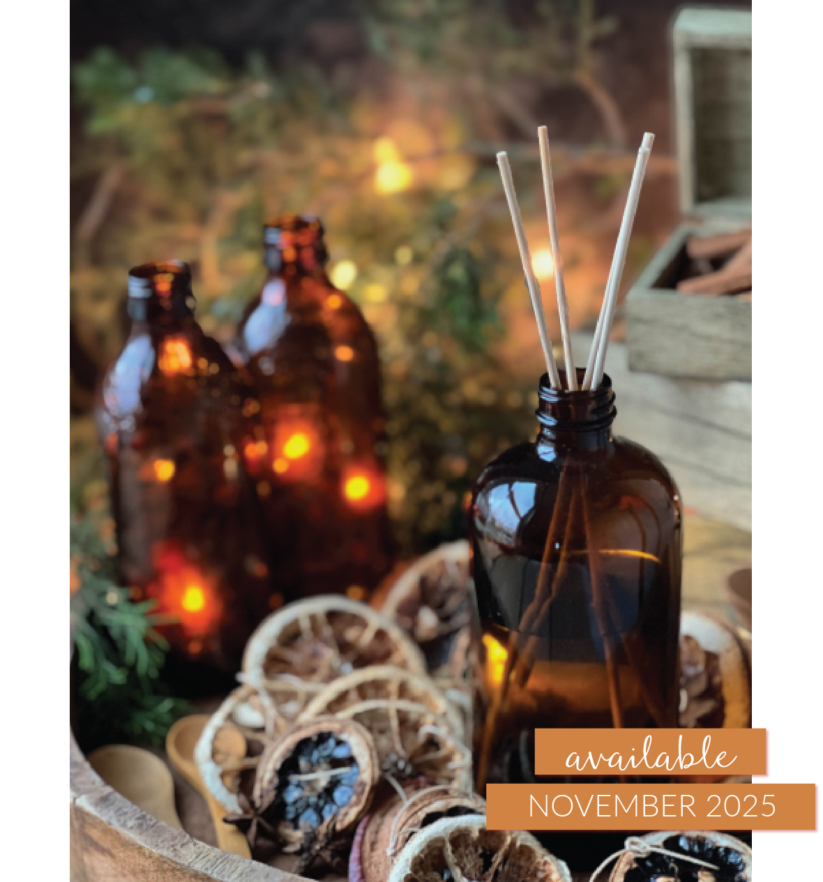 Willow and Sage Winter 2026 – Coming November 1st